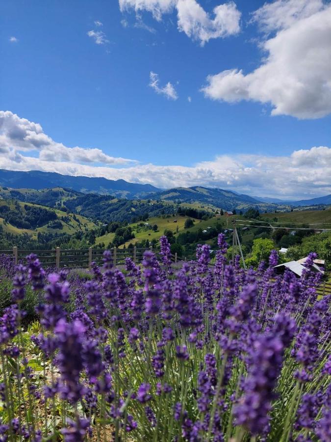 Lavender Valley Perekrestnoye Экстерьер фото