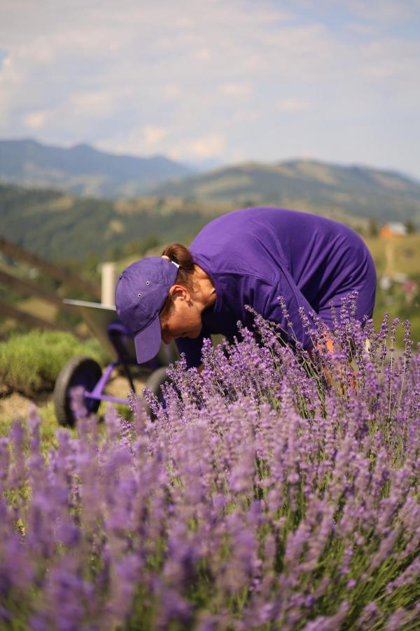 Lavender Valley Perekrestnoye Экстерьер фото